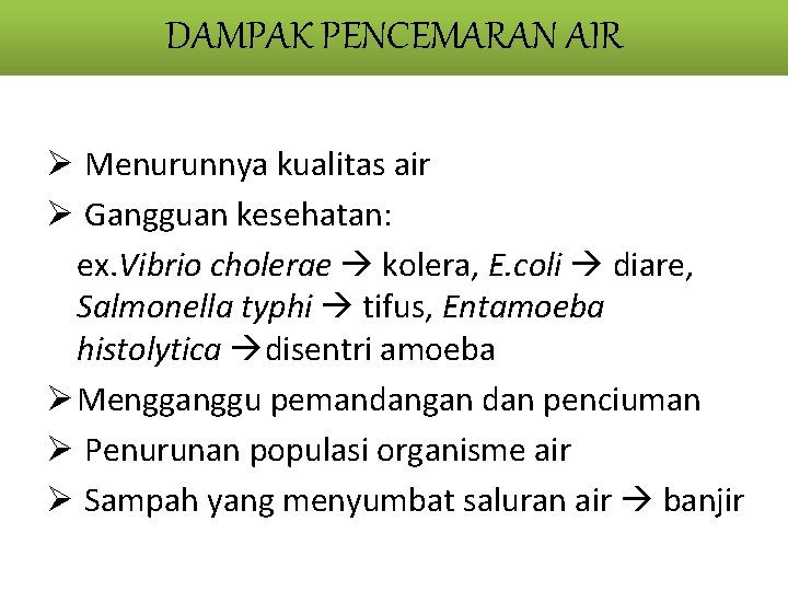 DAMPAK PENCEMARAN AIR Ø Menurunnya kualitas air Ø Gangguan kesehatan: ex. Vibrio cholerae kolera,