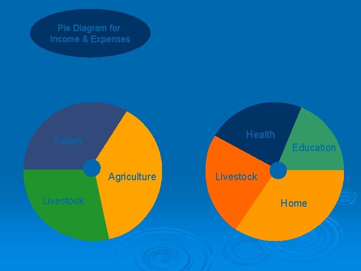 Pie Diagram for Income & Expenses Income Health Salary Education Agriculture Livestock Home 
