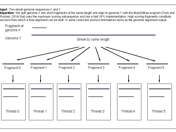 Input: Two whole genome sequences X and Y. Algorithm: We split genome X into