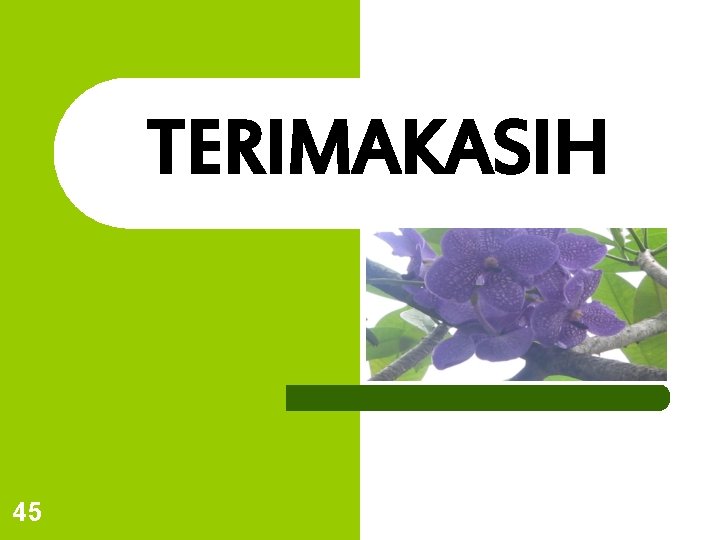 TERIMAKASIH 45 