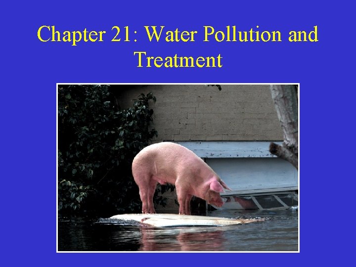 Chapter 21: Water Pollution and Treatment 