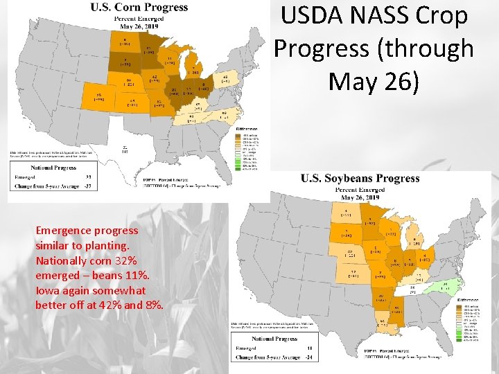 USDA NASS Crop Progress (through May 26) Emergence progress similar to planting. Nationally corn