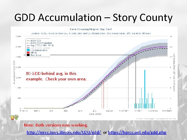 GDD Accumulation – Story County 80 GDD behind avg. in this example. Check your