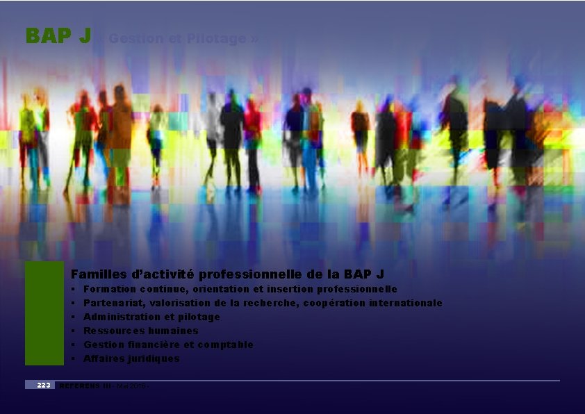 BAP J « Gestion et Pilotage » Familles d’activité professionnelle de la BAP J