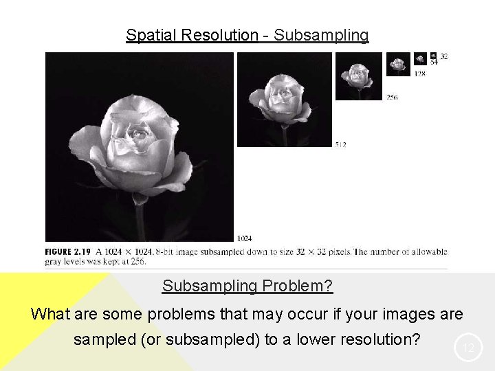 Spatial Resolution - Subsampling Problem? What are some problems that may occur if your