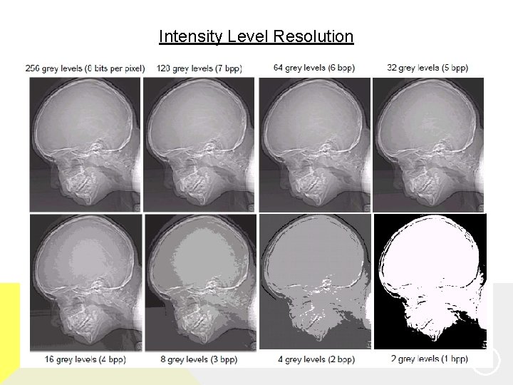 Intensity Level Resolution 15 