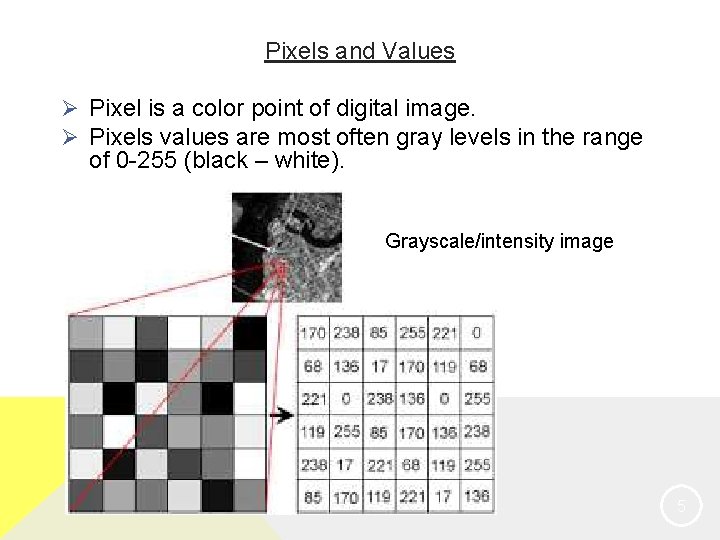 Pixels and Values Ø Pixel is a color point of digital image. Ø Pixels