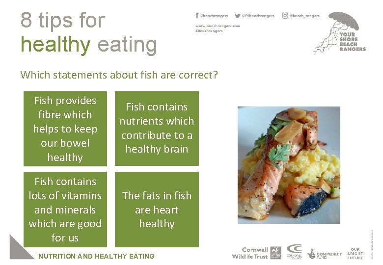 8 tips for healthy eating Which statements about fish are correct? Fish provides fibre