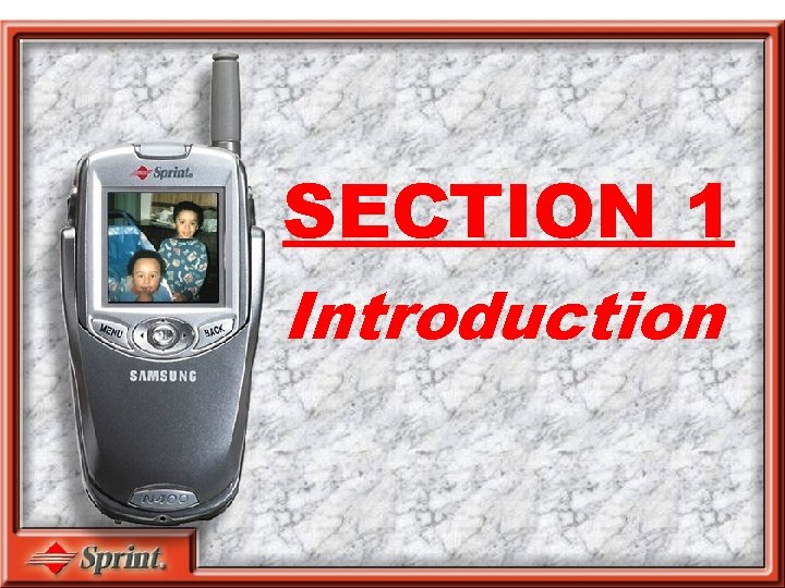 SECTION 1 Introduction 