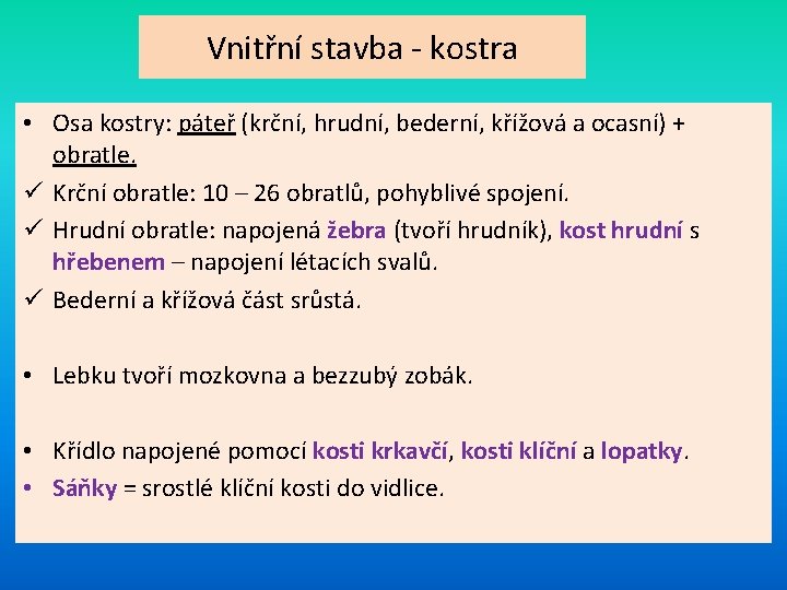 Vnitřní stavba - kostra • Osa kostry: páteř (krční, hrudní, bederní, křížová a ocasní)