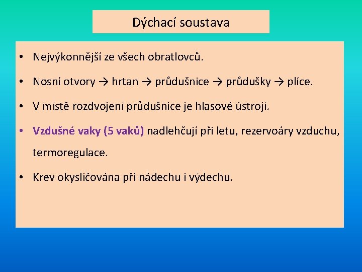 Dýchací soustava • Nejvýkonnější ze všech obratlovců. • Nosní otvory → hrtan → průdušnice