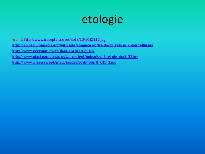 etologie obr. 1 http: //www. ireceptar. cz/res/data/124/015142. jpg http: //upload. wikimedia. org/wikipedia/commons/b/ba/David_Palmer_Capercaillie. jpg http: