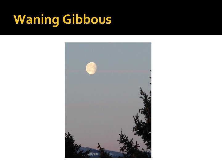 Waning Gibbous 