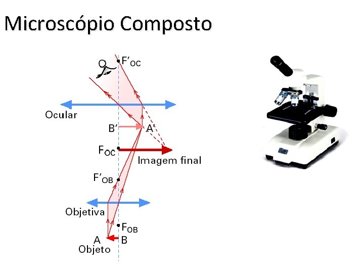 Microscópio Composto 