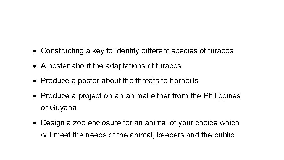  Constructing a key to identify different species of turacos A poster about the