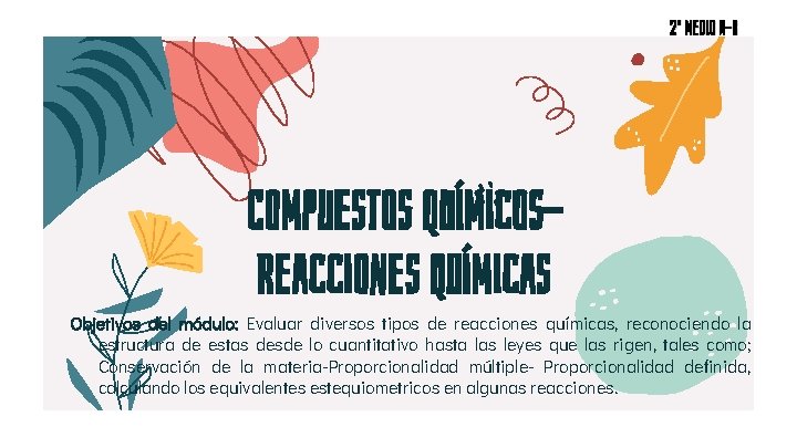 2° medio A-B Compuestos químicos. Reacciones químicas Objetivos del módulo: Evaluar diversos tipos de