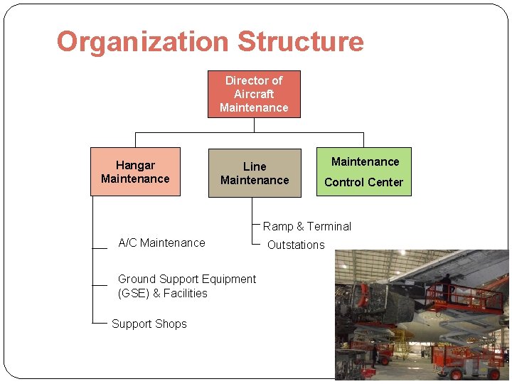 Organization Structure Director of Aircraft Maintenance Hangar Maintenance Line Maintenance Control Center Ramp &