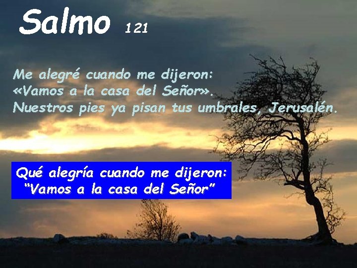 Salmo 121 Me alegré cuando me dijeron: «Vamos a la casa del Señor» .