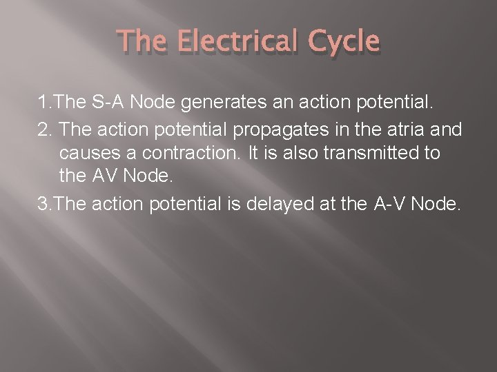 The Electrical Cycle 1. The S-A Node generates an action potential. 2. The action
