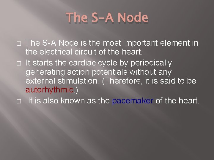 The S-A Node � � � The S-A Node is the most important element