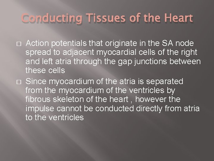 Conducting Tissues of the Heart � � Action potentials that originate in the SA