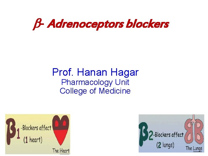  - Adrenoceptors blockers Prof. Hanan Hagar Pharmacology Unit College of Medicine 