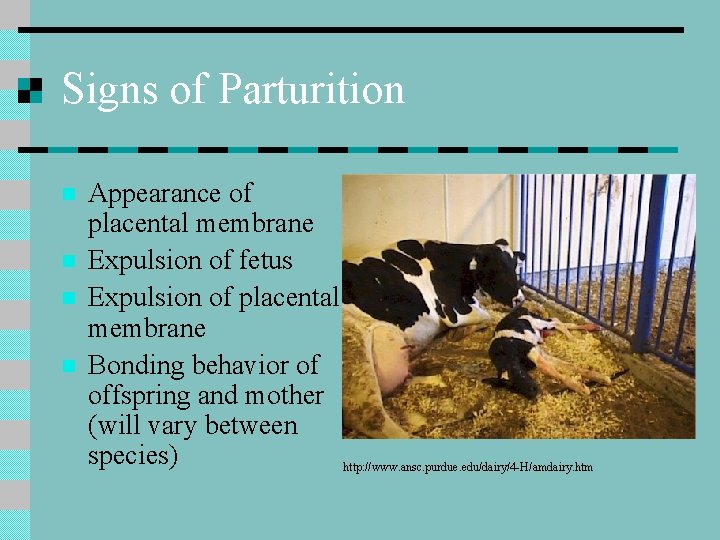 Signs of Parturition n n Appearance of placental membrane Expulsion of fetus Expulsion of