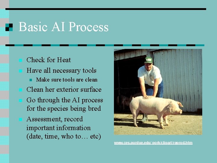 Basic AI Process n n Check for Heat Have all necessary tools n n