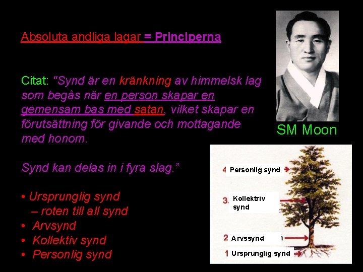 Absoluta andliga lagar = Principerna Citat: "Synd är en kränkning av himmelsk lag som Absoluta andliga lagar = Principerna Citat: "Synd är en kränkning av himmelsk lag som