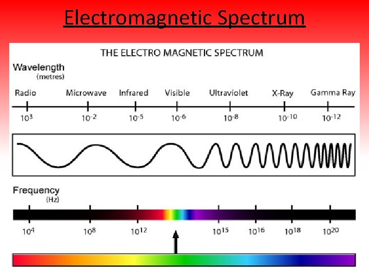 Electromagnetic Spectrum 