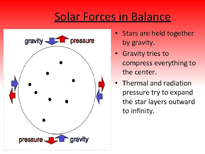 Solar Forces in Balance • Stars are held together by gravity. • Gravity tries