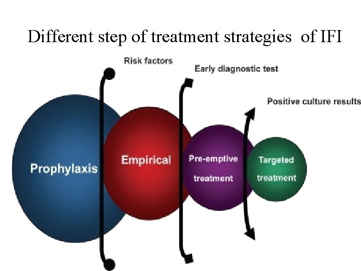 Different step of treatment strategies of IFI 