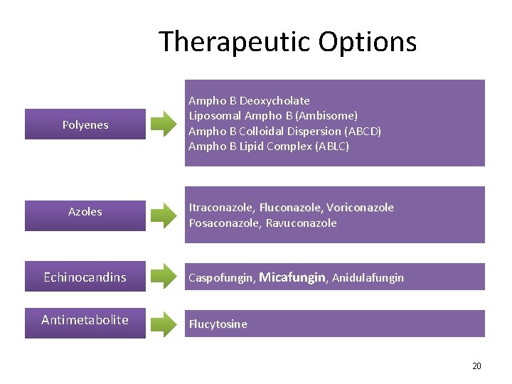 Therapeutic Options Polyenes Azoles Ampho B Deoxycholate Liposomal Ampho B (Ambisome) Ampho B Colloidal