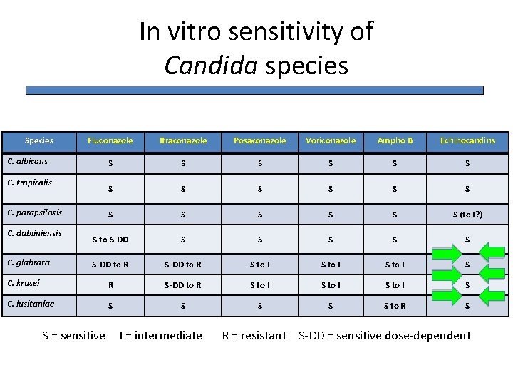 In vitro sensitivity of Candida species Species Fluconazole Itraconazole Posaconazole Voriconazole Ampho B Echinocandins