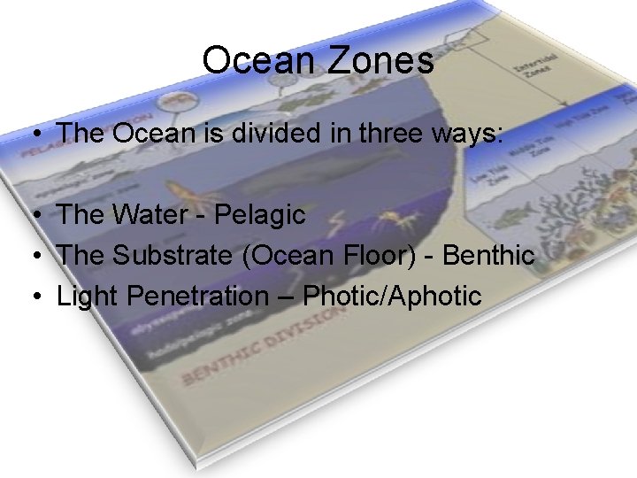 Ocean Zones • The Ocean is divided in three ways: • The Water -