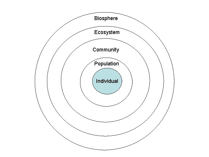 Biosphere Ecosystem Community Population Individual 