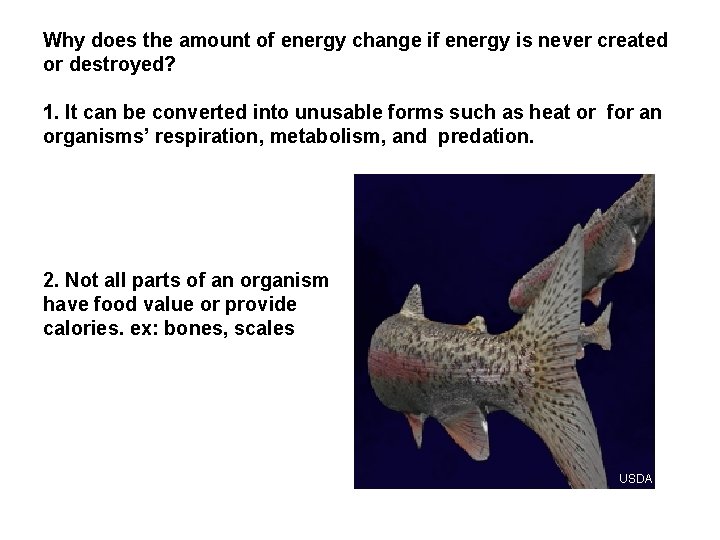 Why does the amount of energy change if energy is never created or destroyed?