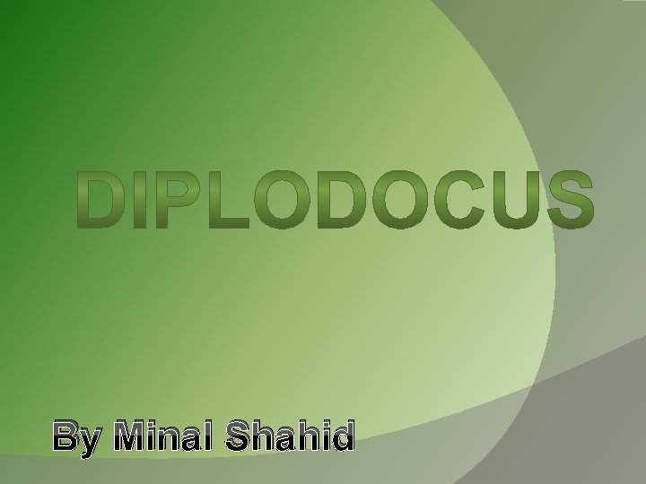 By Minal Shahid 