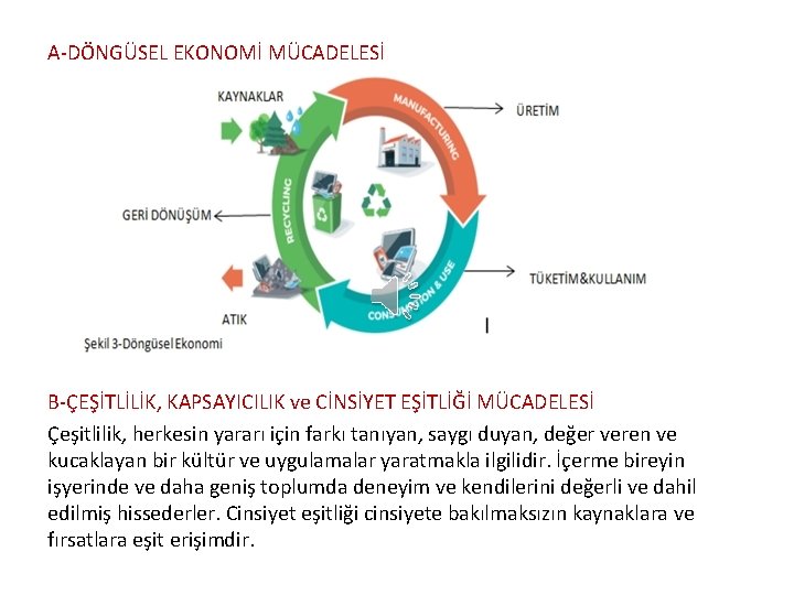 A-DÖNGÜSEL EKONOMİ MÜCADELESİ B-ÇEŞİTLİLİK, KAPSAYICILIK ve CİNSİYET EŞİTLİĞİ MÜCADELESİ Çeşitlilik, herkesin yararı için farkı