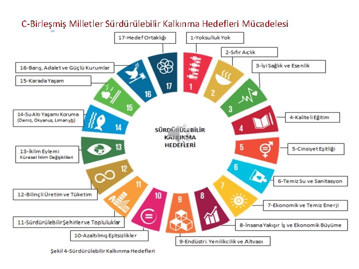 C-Birleşmiş Milletler Sürdürülebilir Kalkınma Hedefleri Mücadelesi 