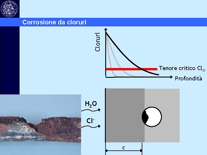 Cloruri Corrosione da cloruri Tenore critico Clcr Profondità H 2 O Cl- c 