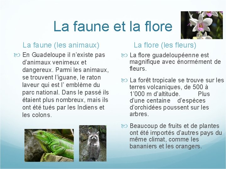 La faune et la flore La faune (les animaux) La flore (les fleurs) En