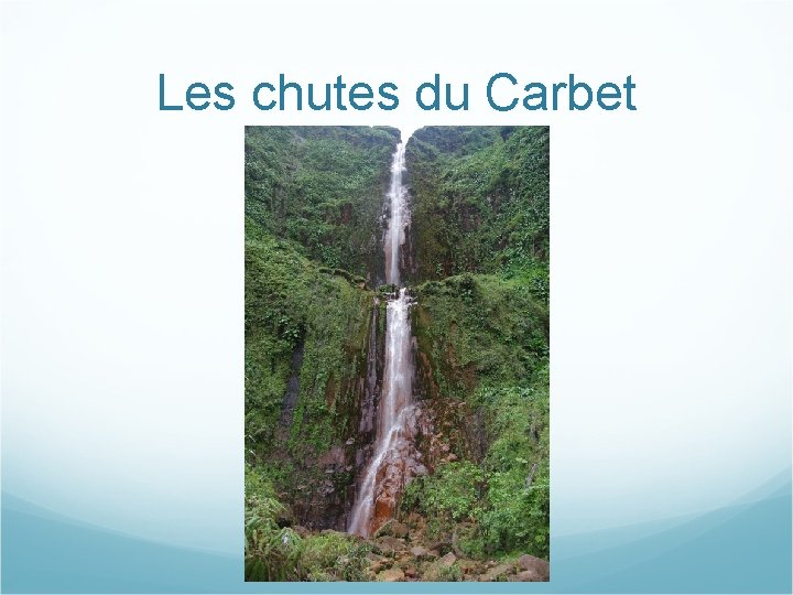 Les chutes du Carbet 