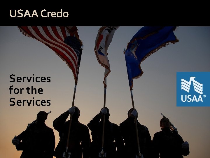 USAA Credo Services for the Services 