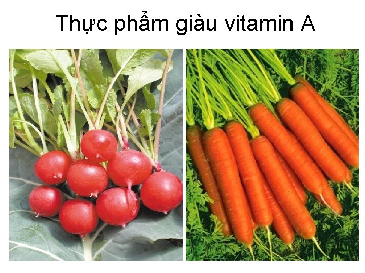 Thực phẩm giàu vitamin A 