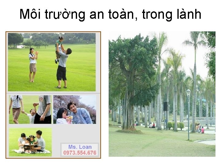 Môi trường an toàn, trong lành 