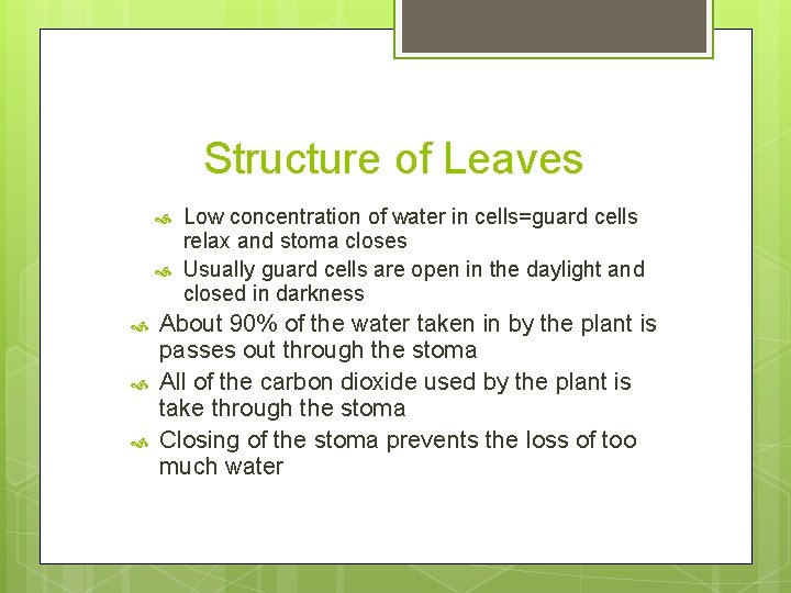Structure of Leaves Low concentration of water in cells=guard cells relax and stoma closes