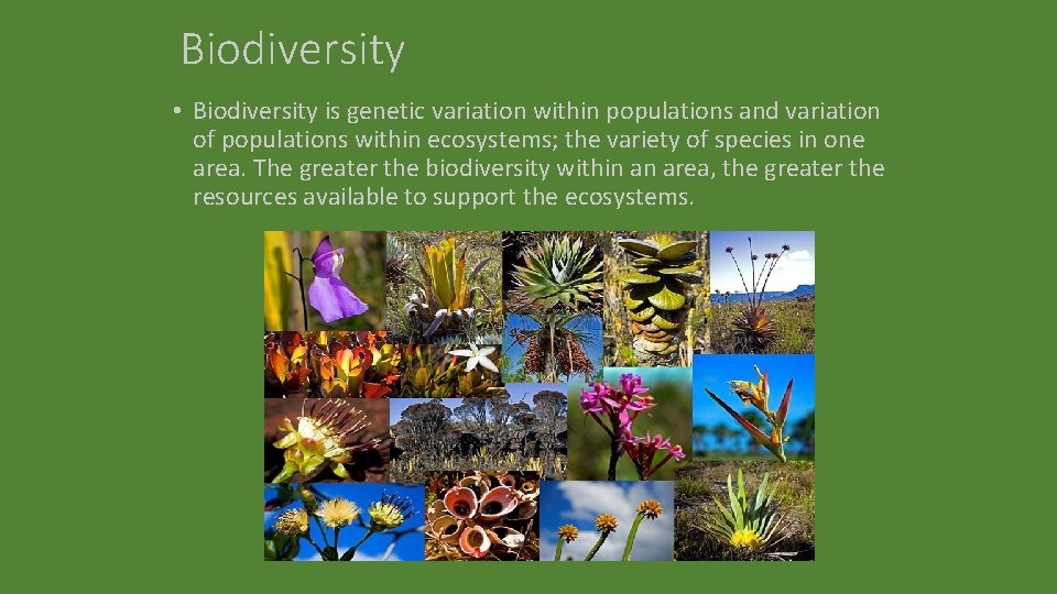 Biodiversity • Biodiversity is genetic variation within populations and variation of populations within ecosystems;