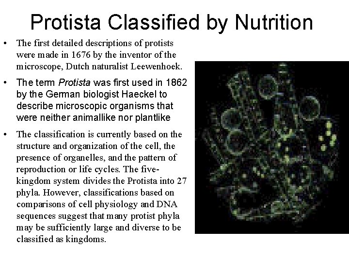 Protista Classified by Nutrition • The first detailed descriptions of protists were made in