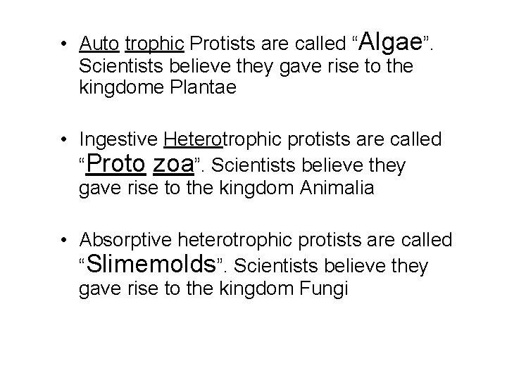  • Auto trophic Protists are called “Algae”. Scientists believe they gave rise to